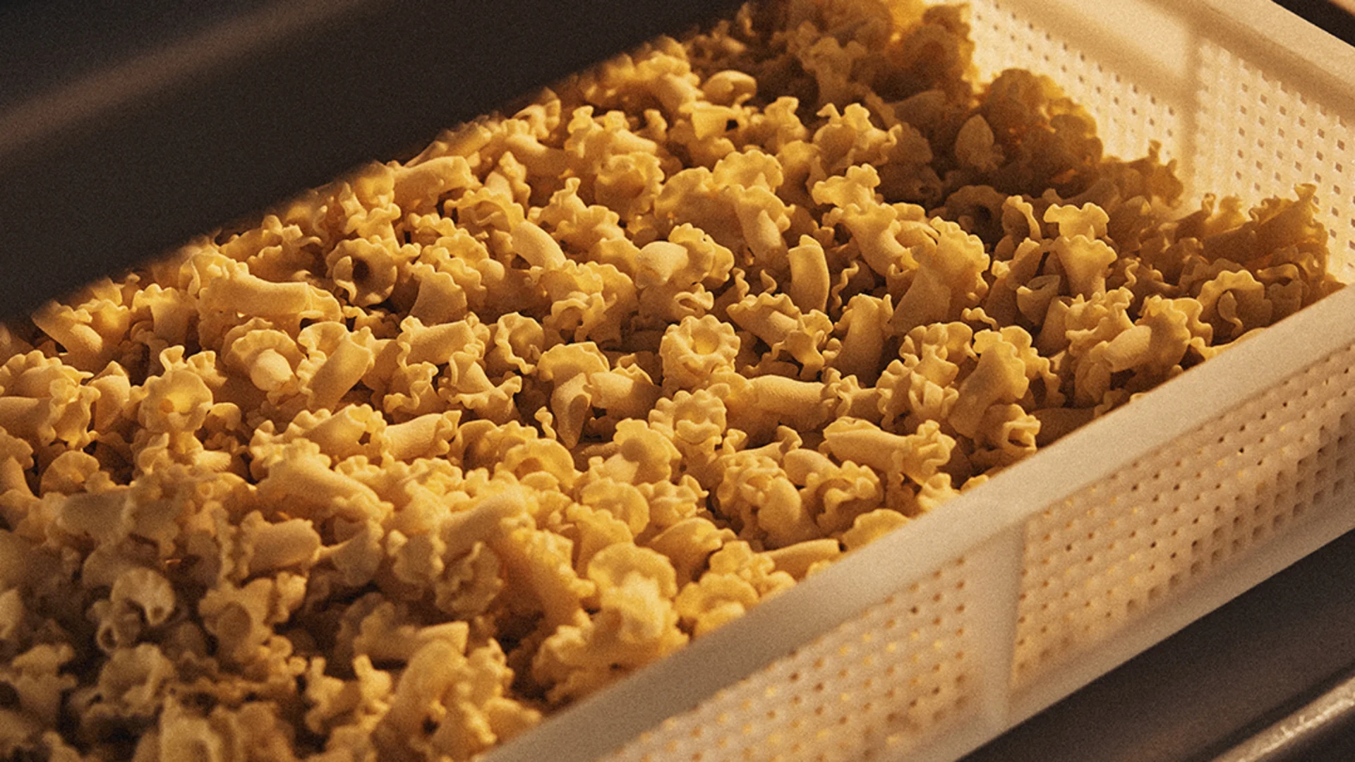 Campanelle frisch gemacht aus der Pasta Manufaktur.
