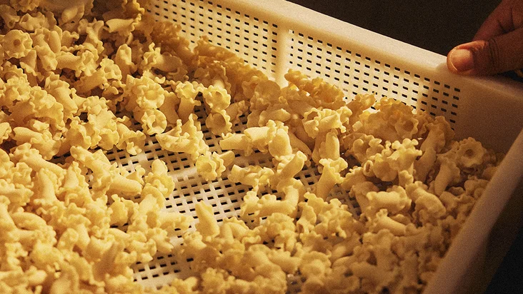 Frische Campanelle aus der Pasta Manufaktur.